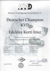 Urkunde Írisz Deutscher Champion KVD